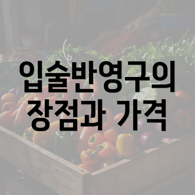 입술반영구의 장점과 가격