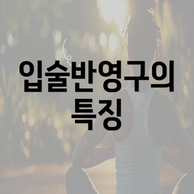 입술반영구의 특징