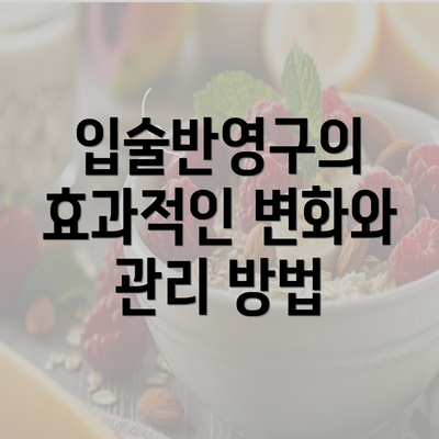 입술반영구의 효과적인 변화와 관리 방법