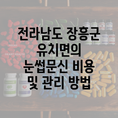 전라남도 장흥군 유치면의 눈썹문신 비용 및 관리 방법