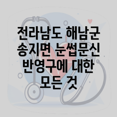 전라남도 해남군 송지면 눈썹문신 반영구에 대한 모든 것