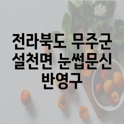 전라북도 무주군 설천면 눈썹문신 반영구