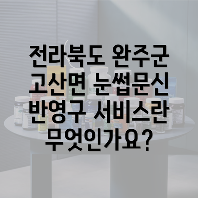 전라북도 완주군 고산면 눈썹문신 반영구 서비스란 무엇인가요?