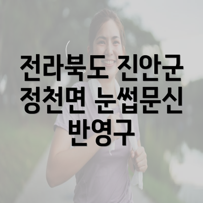 전라북도 진안군 정천면 눈썹문신 반영구