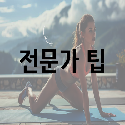 전문가 팁