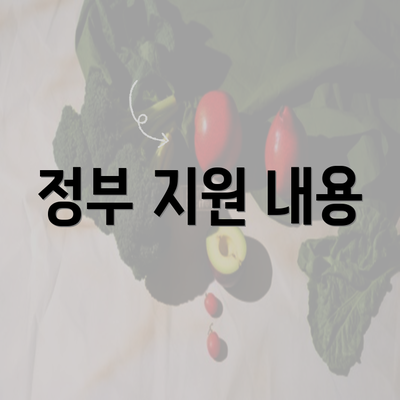 정부 지원 내용