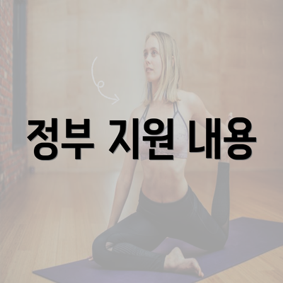 정부 지원 내용