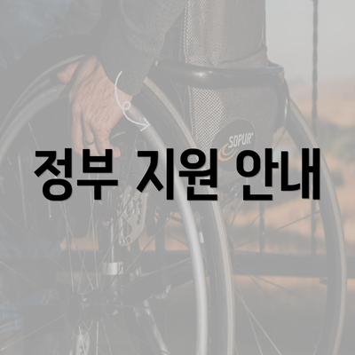 정부 지원 안내