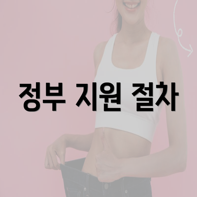 정부 지원 절차