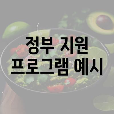 정부 지원 프로그램 예시