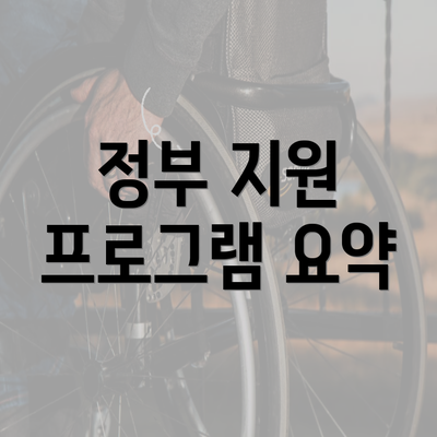 정부 지원 프로그램 요약