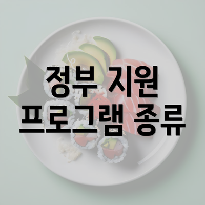 정부 지원 프로그램 종류