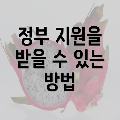 정부 지원을 받을 수 있는 방법