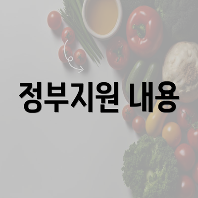 정부지원 내용