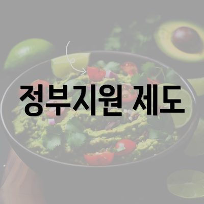 정부지원 제도