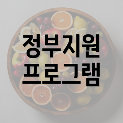 정부지원 프로그램