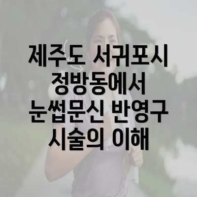 제주도 서귀포시 정방동에서 눈썹문신 반영구 시술의 이해