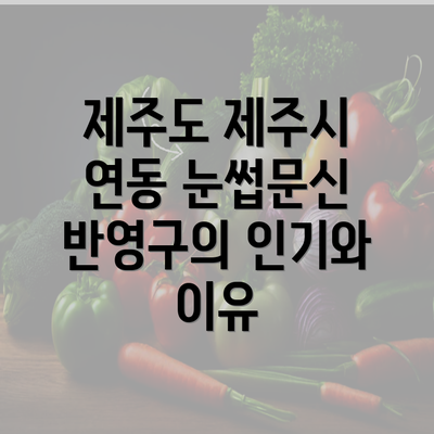 제주도 제주시 연동 눈썹문신 반영구의 인기와 이유