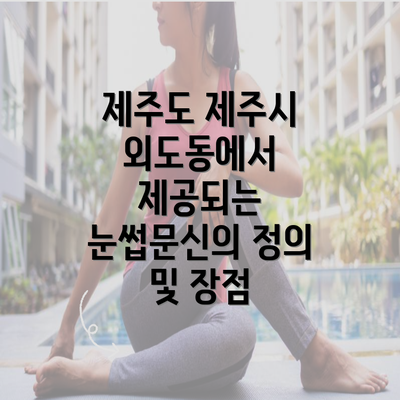 제주도 제주시 외도동에서 제공되는 눈썹문신의 정의 및 장점