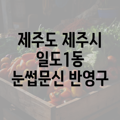 제주도 제주시 일도1동 눈썹문신 반영구