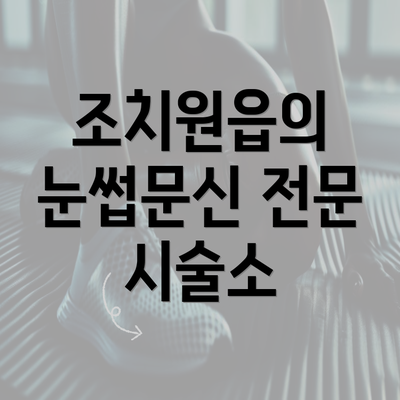 조치원읍의 눈썹문신 전문 시술소