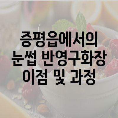 증평읍에서의 눈썹 반영구화장 이점 및 과정