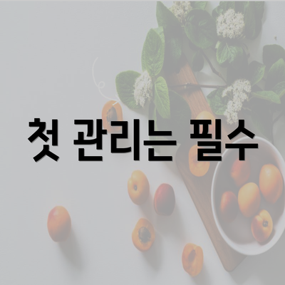 첫 관리는 필수