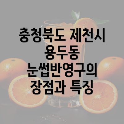 충청북도 제천시 용두동 눈썹반영구의 장점과 특징