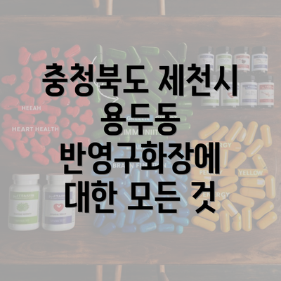 충청북도 제천시 용두동 반영구화장에 대한 모든 것