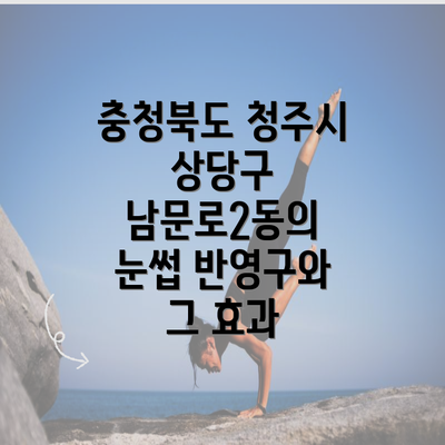 충청북도 청주시 상당구 남문로2동의 눈썹 반영구와 그 효과