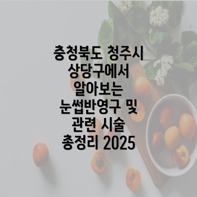 충청북도 청주시 상당구에서 알아보는 눈썹반영구 및 관련 시술 총정리 2025