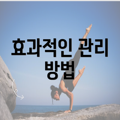 효과적인 관리 방법