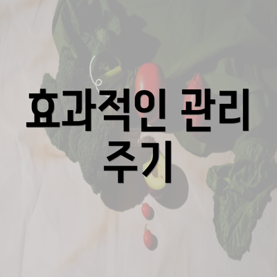 효과적인 관리 주기