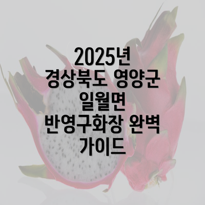 2025년 경상북도 영양군 일월면 반영구화장 완벽 가이드