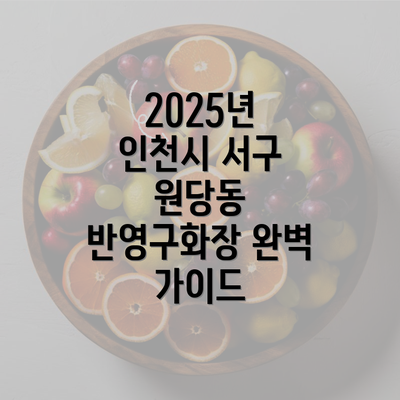 2025년 인천시 서구 원당동 반영구화장 완벽 가이드