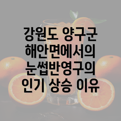 강원도 양구군 해안면에서의 눈썹반영구의 인기 상승 이유