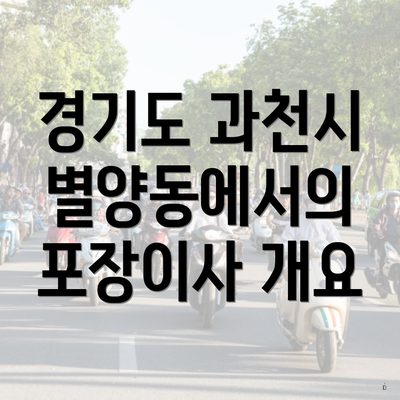 경기도 과천시 별양동에서의 포장이사 개요