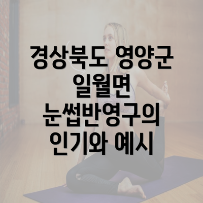 경상북도 영양군 일월면 눈썹반영구의 인기와 예시