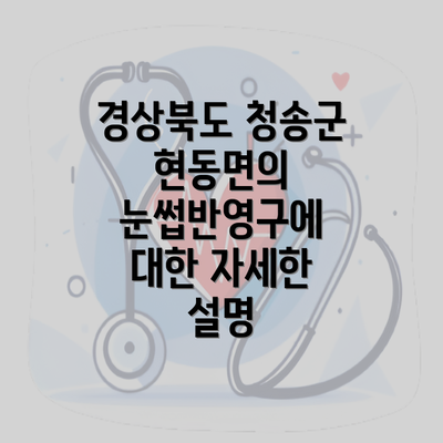 경상북도 청송군 현동면의 눈썹반영구에 대한 자세한 설명