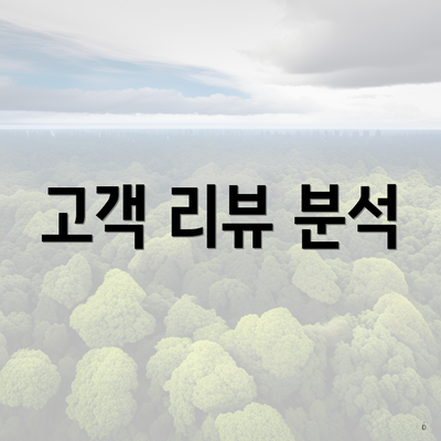 고객 리뷰 분석