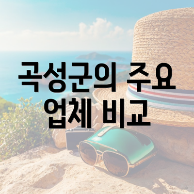 곡성군의 주요 업체 비교