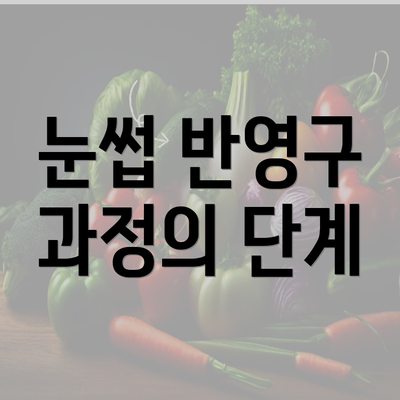 눈썹 반영구 과정의 단계