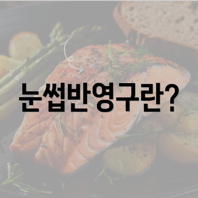 눈썹반영구란?