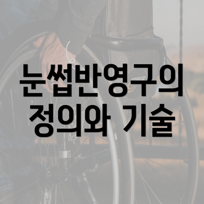 눈썹반영구의 정의와 기술