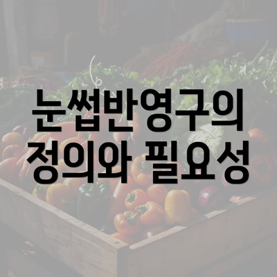 눈썹반영구의 정의와 필요성