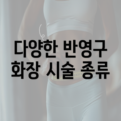 다양한 반영구 화장 시술 종류