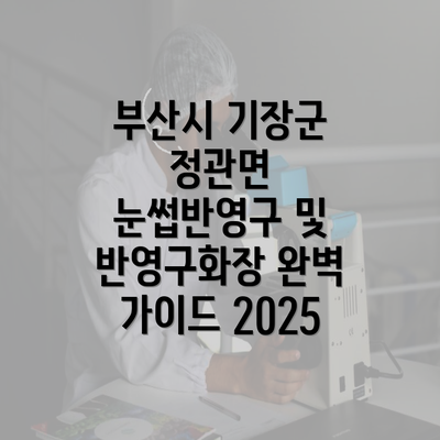 부산시 기장군 정관면 눈썹반영구 및 반영구화장 완벽 가이드 2025