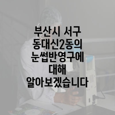 부산시 서구 동대신2동의 눈썹반영구에 대해 알아보겠습니다