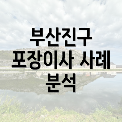 부산진구 포장이사 사례 분석