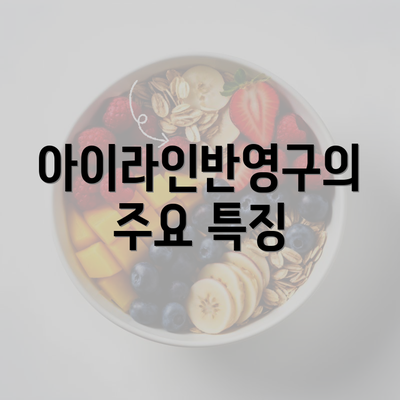 아이라인반영구의 주요 특징